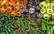 Nightshade Vegetables
