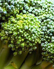 Broccoli for Osteoarthritis Treatment? Broccoli for Osteoarthritis Treatment?