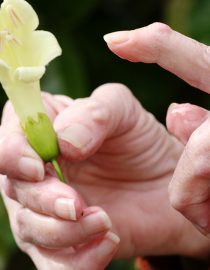 OA and Trigger Finger: What Is It? OA and Trigger Finger: What Is It?